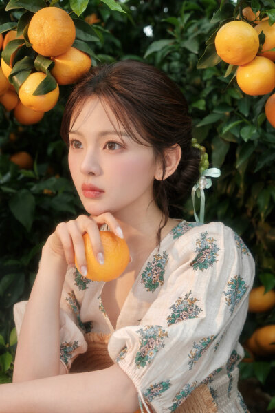 小羊