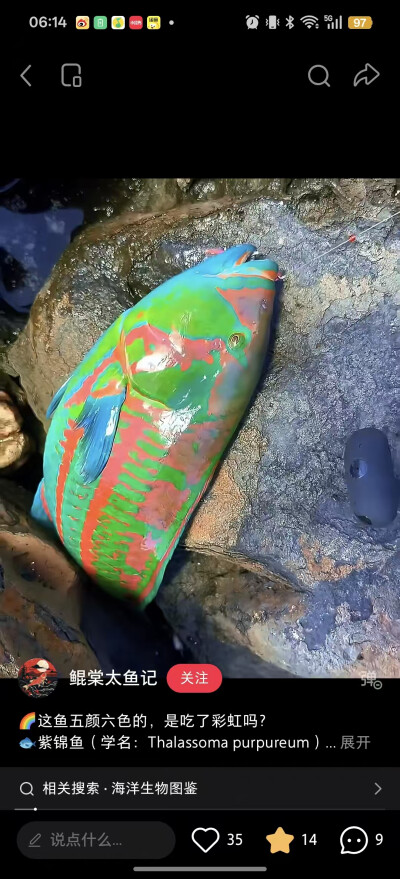 。