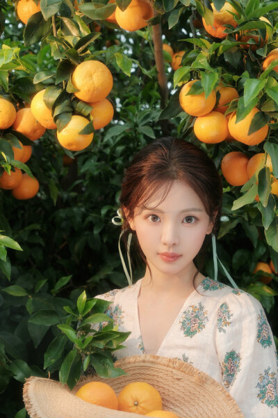 小羊