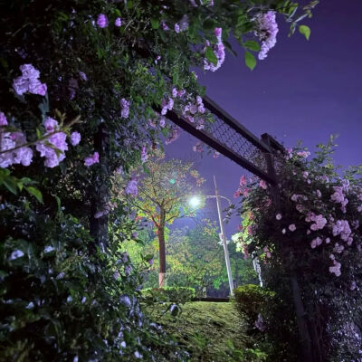 ‎#قدرات خارقة