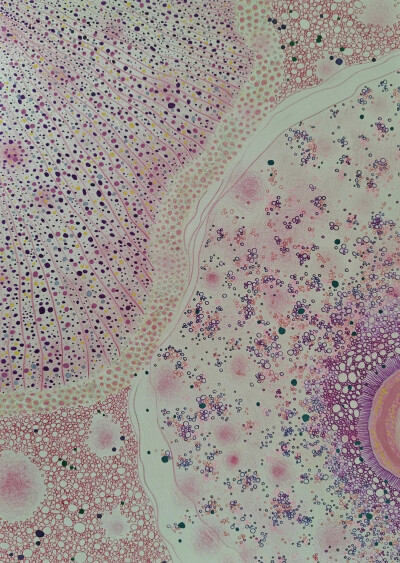 脉络和纹理
粉序
少女揣着一捧软粉
漫进微观星河
细碎细胞轻轻舒张
揉开云朵般温柔轮廓
淡粉漫过肌理脉络
鲜活生灵静静停泊
世间最软的浪漫
藏在心跳与鲜活角落