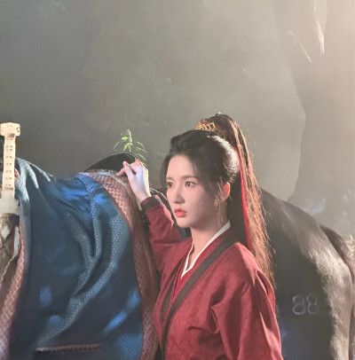 刘些宁