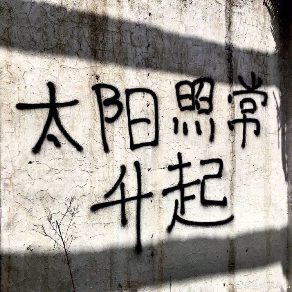 壁纸
