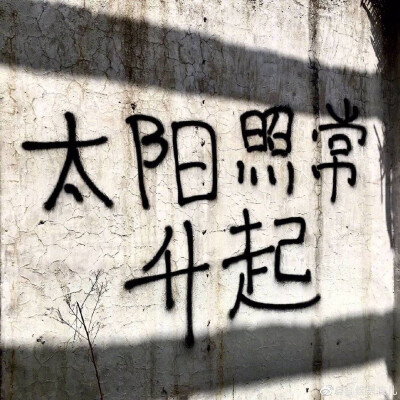 壁纸