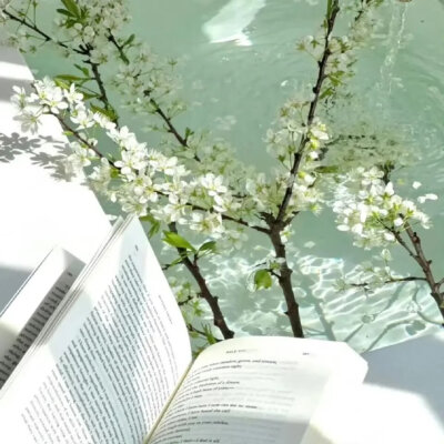绿色系背景图