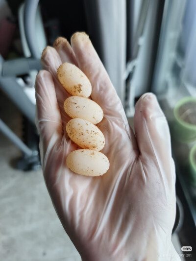 。