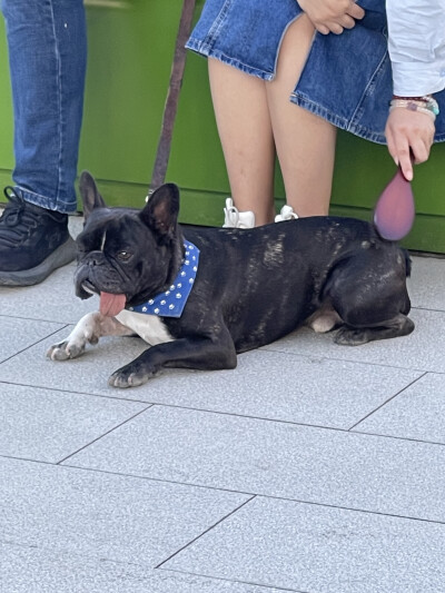 修勾们