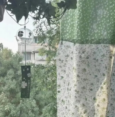 绿色系背景图单张