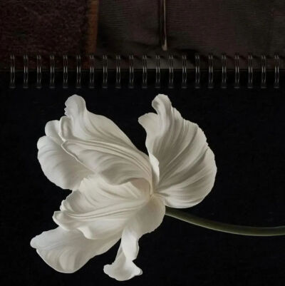 ‎#قدرات خارقة