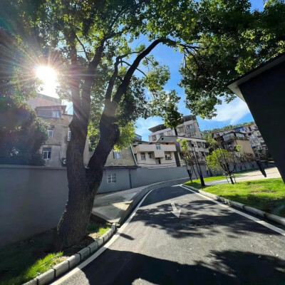 女生头像背景