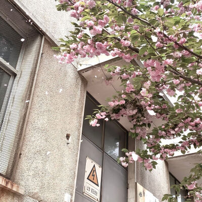 女生头像背景