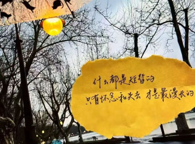 背景