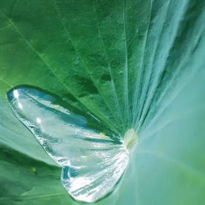 ‎#قدرات خارقة