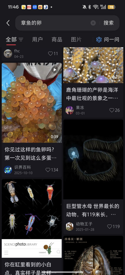 。