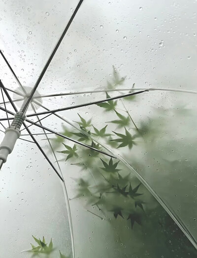 绿色系背景图