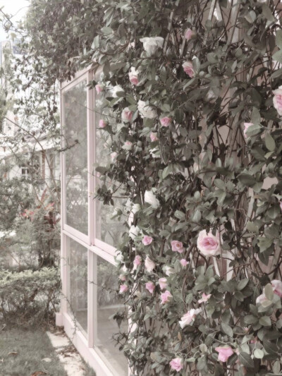 ୨୧⏔⏔♡⏔⏔୨୧
