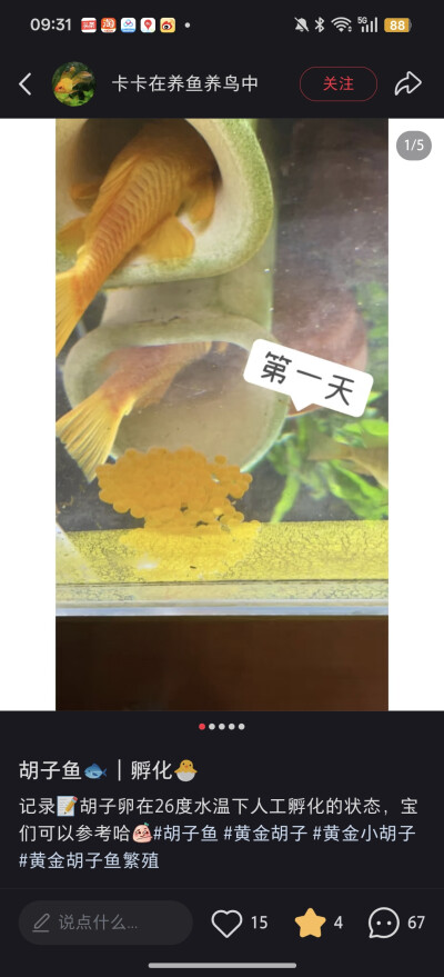 ♂