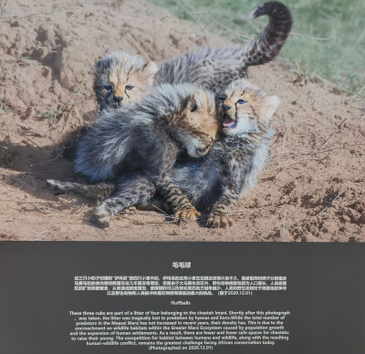 5.28.26