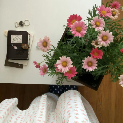 图源ks：偷喝汽水