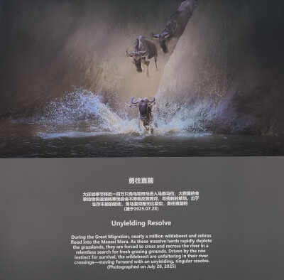 5.28.26