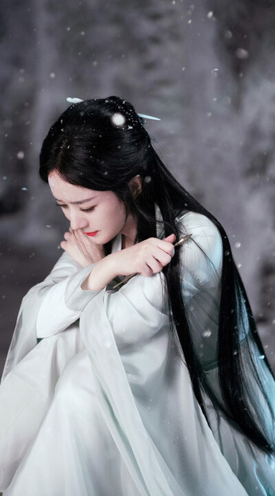赵丽颖