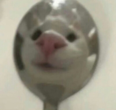 ～