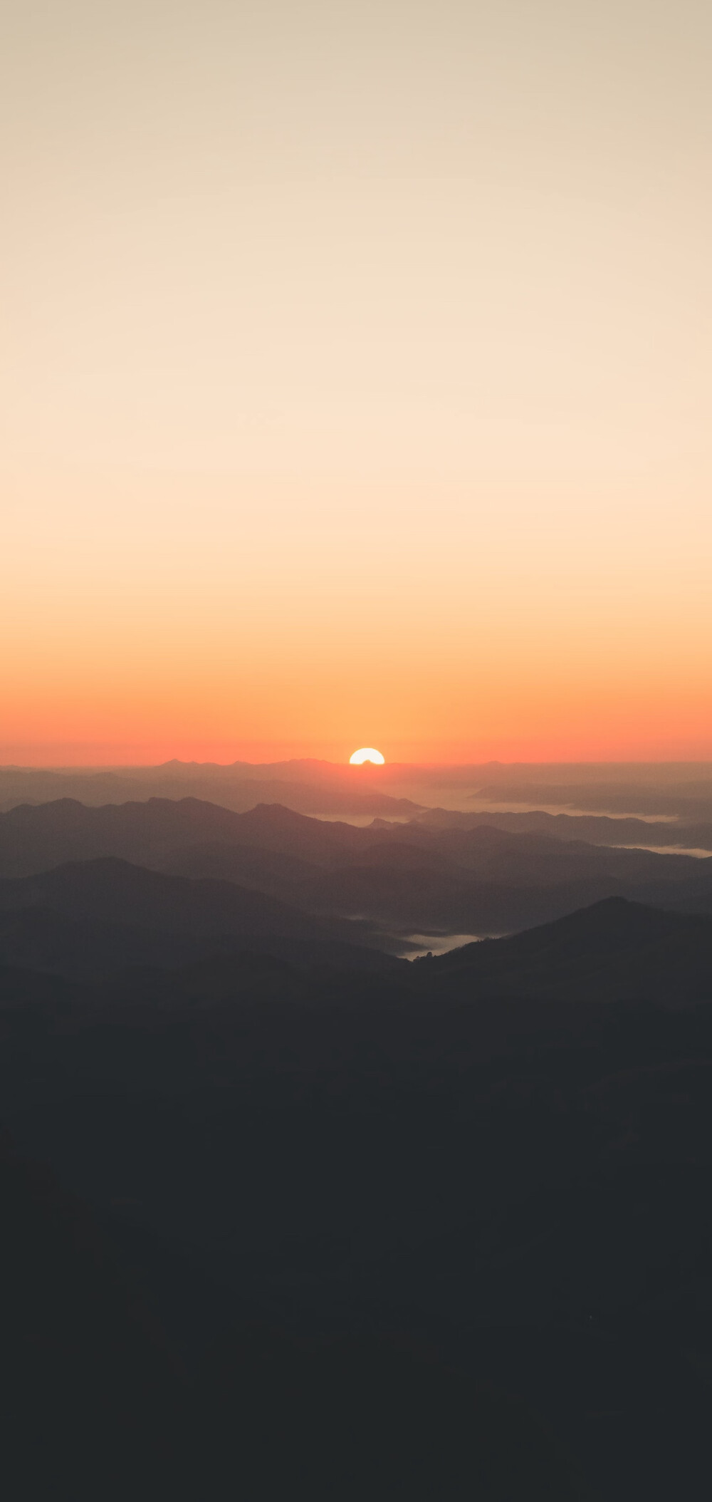 背景