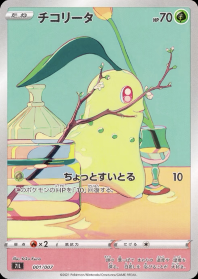 菊草叶