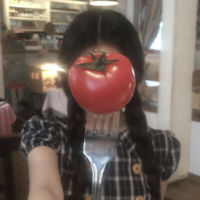 教司