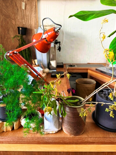 日常
取予想求