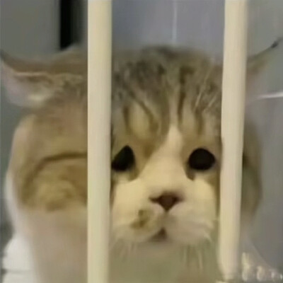 ～