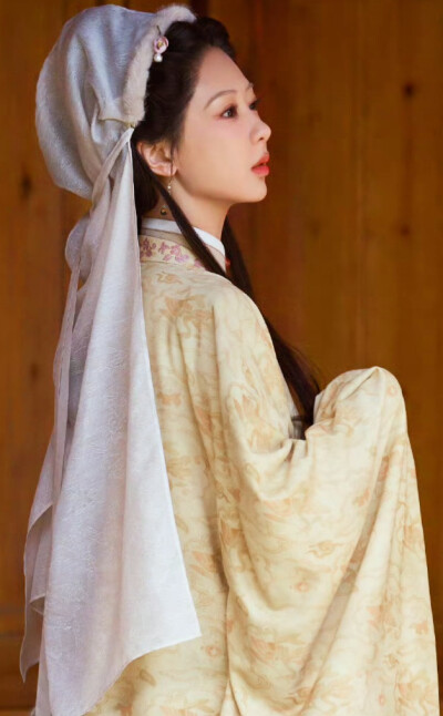 杨紫