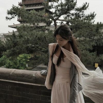 教司