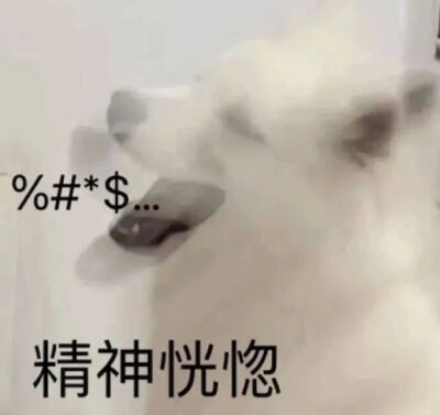 表情包