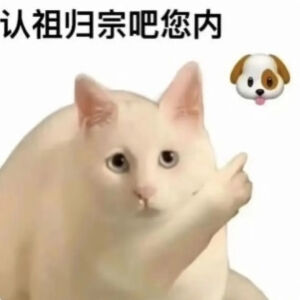 猫猫表情包