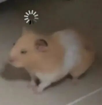 表情包