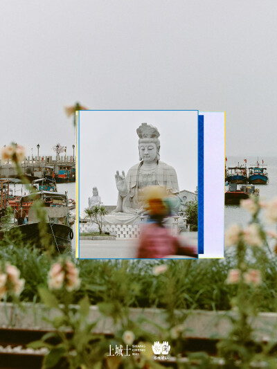 佟丽娅