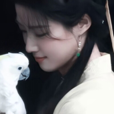 素净一张脸收敛了眉眼