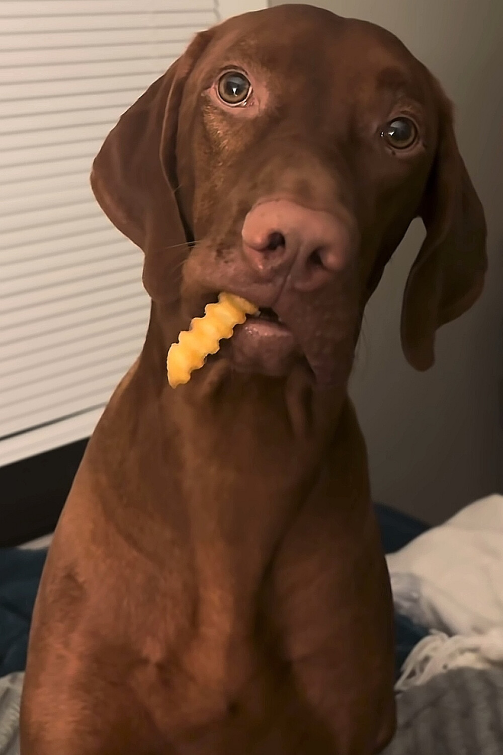 ～