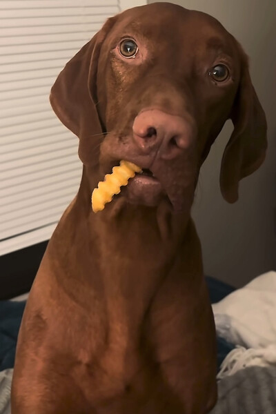 ～