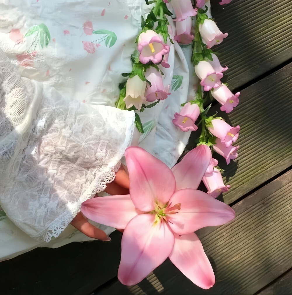 百合花背景图