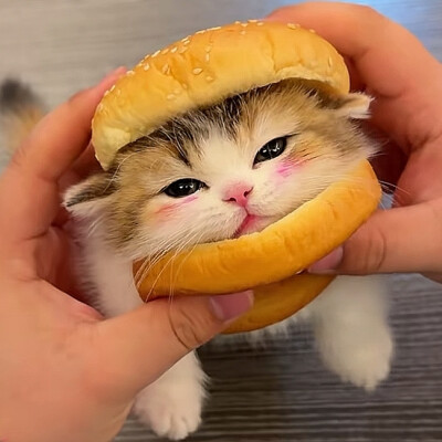 ～