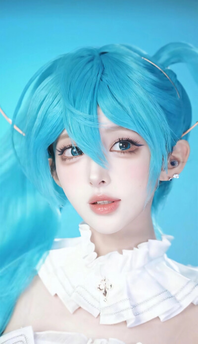 机智张