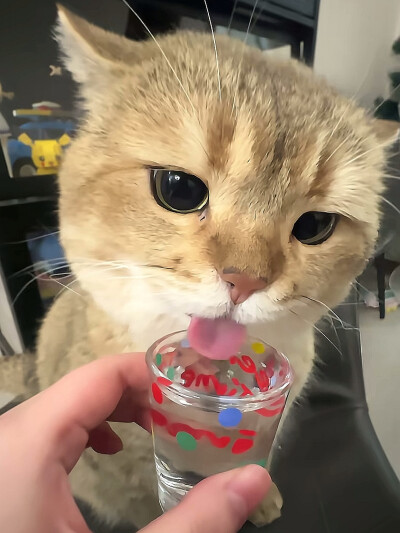～