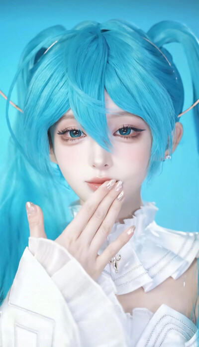 机智张