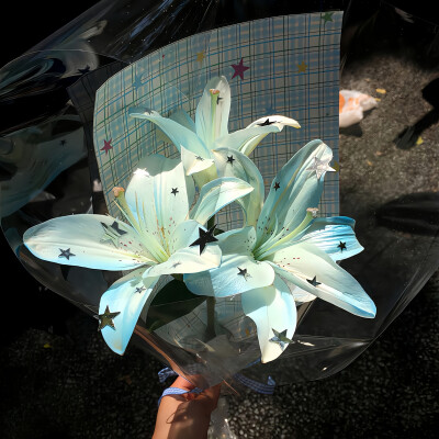 百合花背景图