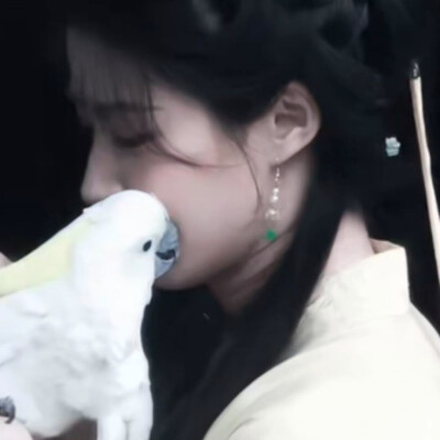 素净一张脸收敛了眉眼