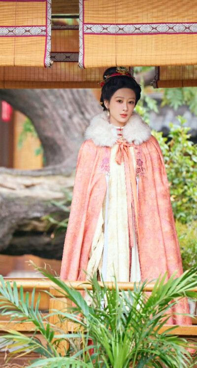 杨紫