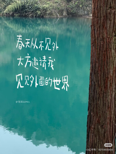 壁纸