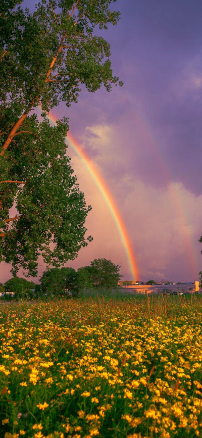 bz